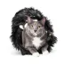 Playology® Feather Tunnel Cat Toy image thumbnail 3