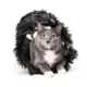 Product Playology® Feather Tunnel Cat Toy