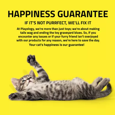 Product Playology® Beehive Treat Dispenser Cat Toy