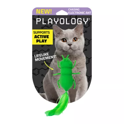 Product Playology® Electronic Ant Cat Toy