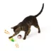 Whisker City® Tropical Cat Toys, 2 Count image thumbnail 3