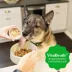Greenies Adult Wet Dog Food Smart Topper - Duck, Broccoli, Carrots & Barley image thumbnail 4