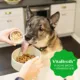 Product Greenies Adult Wet Dog Food Smart Topper - Duck, Broccoli, Carrots & Barley