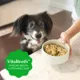 Product Greenies Adult Wet Dog Food Smart Topper - Chicken and Duck Variety Pack 8 Count