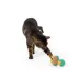 Whisker City® Refillable Cat Nip Toy image thumbnail 2