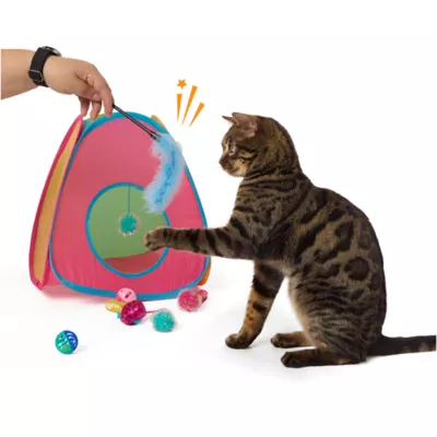Whisker City® Cat Starter Toy Set - Image 3