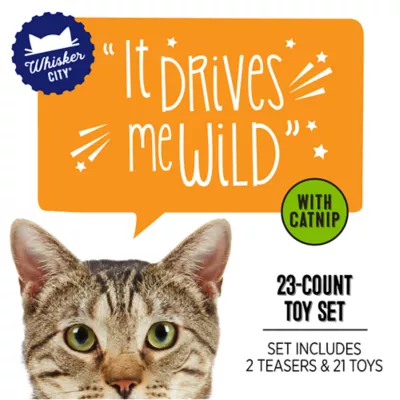 Whisker City® Variety Pack of Cat Toys - Image 2