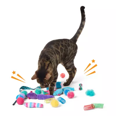 Whisker City® Variety Pack of Cat Toys - Image 3
