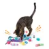 Whisker City® Variety Pack of Cat Toys image thumbnail 3