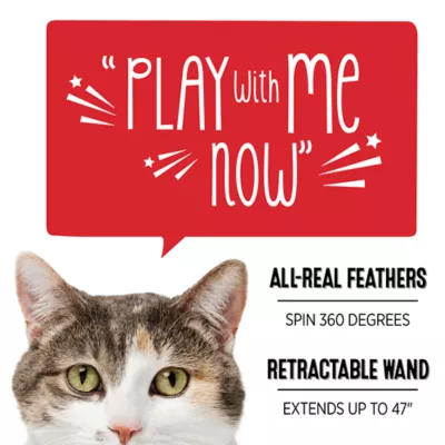 Whisker City® Interactive Feather Teaser Toy - Image 2