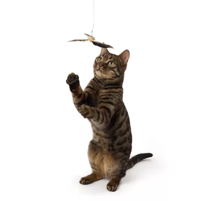 Whisker City® Interactive Feather Teaser Toy - Image 3