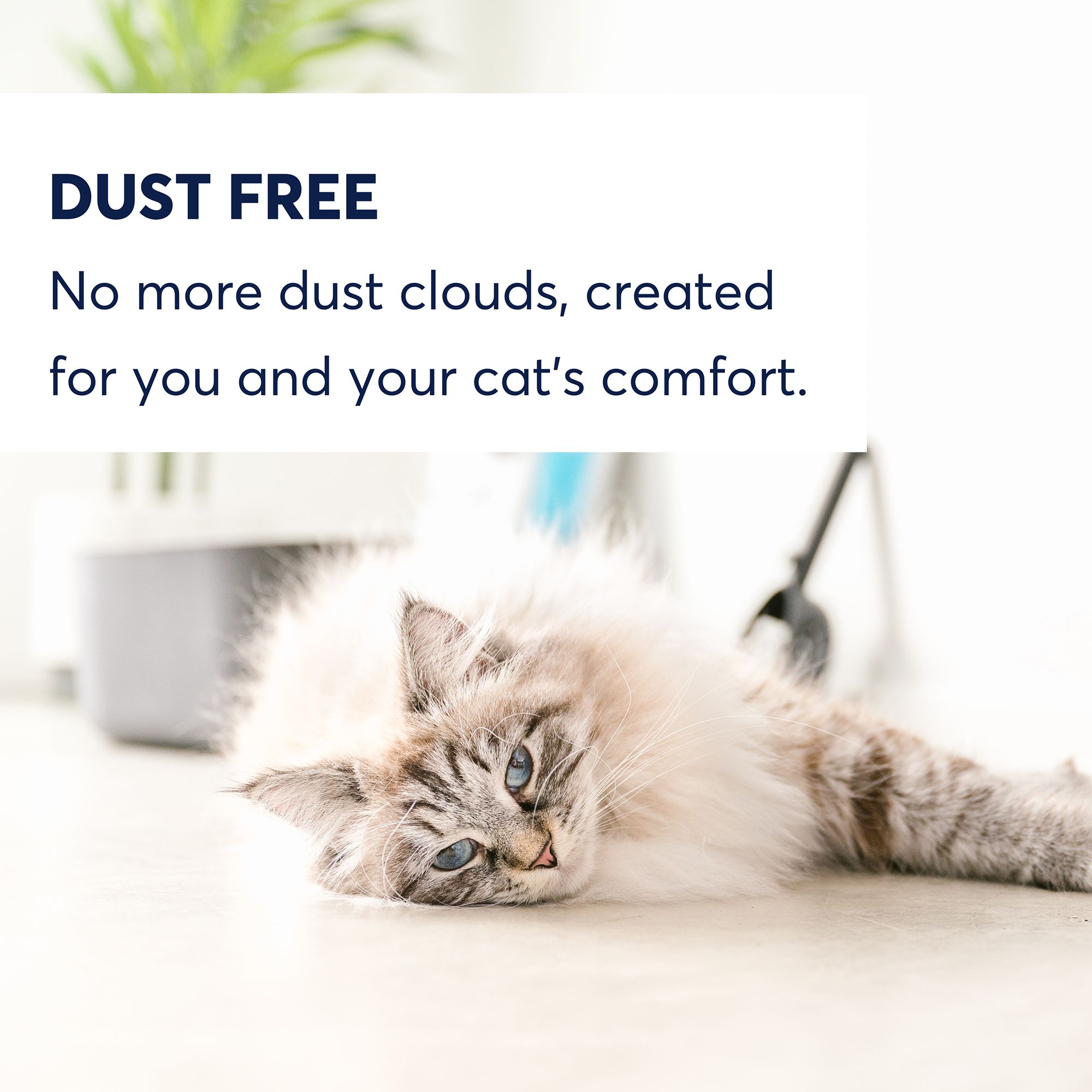 OdorLock Max Care Clumping Clay Cat Litter - 25Lb - thumbnail 6