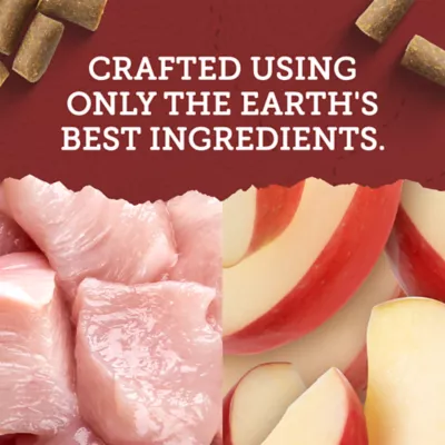 Zuke's Lil' Links Chicken and Apple Recipe Training Dog Treats - Image 2