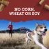 Zuke's Lil' Links Chicken and Apple Recipe Training Dog Treats image thumbnail 4