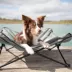 TRIXIE Camping Cot for Dogs image thumbnail 2