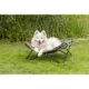 Product TRIXIE Elevated Camping Cot, Folding Dog Bed, Raised Travel Lounger for Dogs