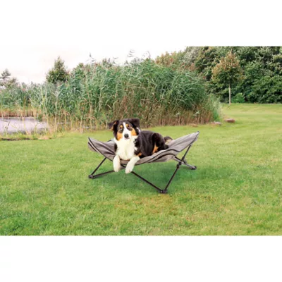 Product TRIXIE Elevated Camping Cot, Folding Dog Bed, Raised Travel Lounger for Dogs