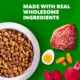 Product IAMS Proactive Health Dog Food Beef and Rice