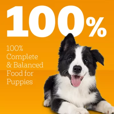 Product Pedigree High Protein Puppy Food Chicken and Steak