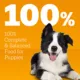 Product Pedigree High Protein Puppy Food Chicken and Steak