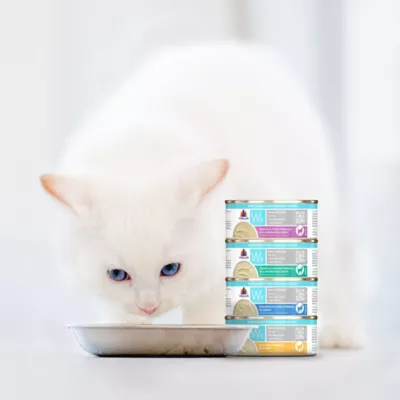 Weruva WX Adult Cat Wet Food - Phos Focused, Variety Pack, 12 Count, 66 Oz - Image 6