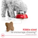 Product Royal Canin Size Health Nutrition Small Breed Adult Dry Dog Food