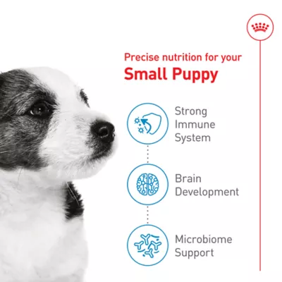Product Royal Canin Size Health Nutrition Small Breed Puppy Dry Dog Food