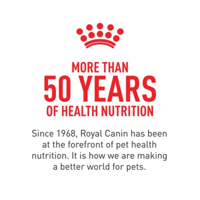 Product Royal Canin Size Health Nutrition Small Breed Puppy Dry Dog Food