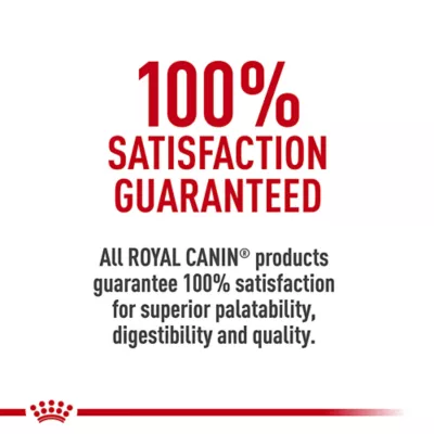 Product Royal Canin Size Health Nutrition Small Breed Puppy Dry Dog Food