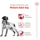 Product Royal Canin Size Health Nutrition Medium Breed Adult Dry Dog Food