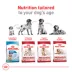 Royal Canin Size Health Nutrition Medium Breed Adult Dry Dog Food image thumbnail 6