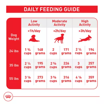 Product Royal Canin Size Health Nutrition Medium Breed Adult Dry Dog Food
