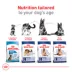 Royal Canin Size Health Nutrition Large Breed Adult Dry Dog Food image thumbnail 6