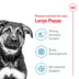 Royal Canin Large Puppy Dry Dog Food, Size Health Nutrition image thumbnail 3