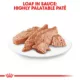 Product Royal Canin Breed Health Nutrition Yorkshire Terrier Adult Wet Dog Food - 3 oz (6 Count)