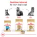 Royal Canin Breed Health Nutrition Yorkshire Terrier Adult Wet Dog Food - 3 oz (6 Count) image thumbnail 5