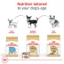 Royal Canin Breed Health Nutrition Chihuahua Adult Wet Dog Food - 3 oz (6 Count) image thumbnail 5
