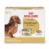 Royal Canin Breed Health Nutrition Dachshund Adult Wet Dog Food - 3 oz (6 Count) image thumbnail 1