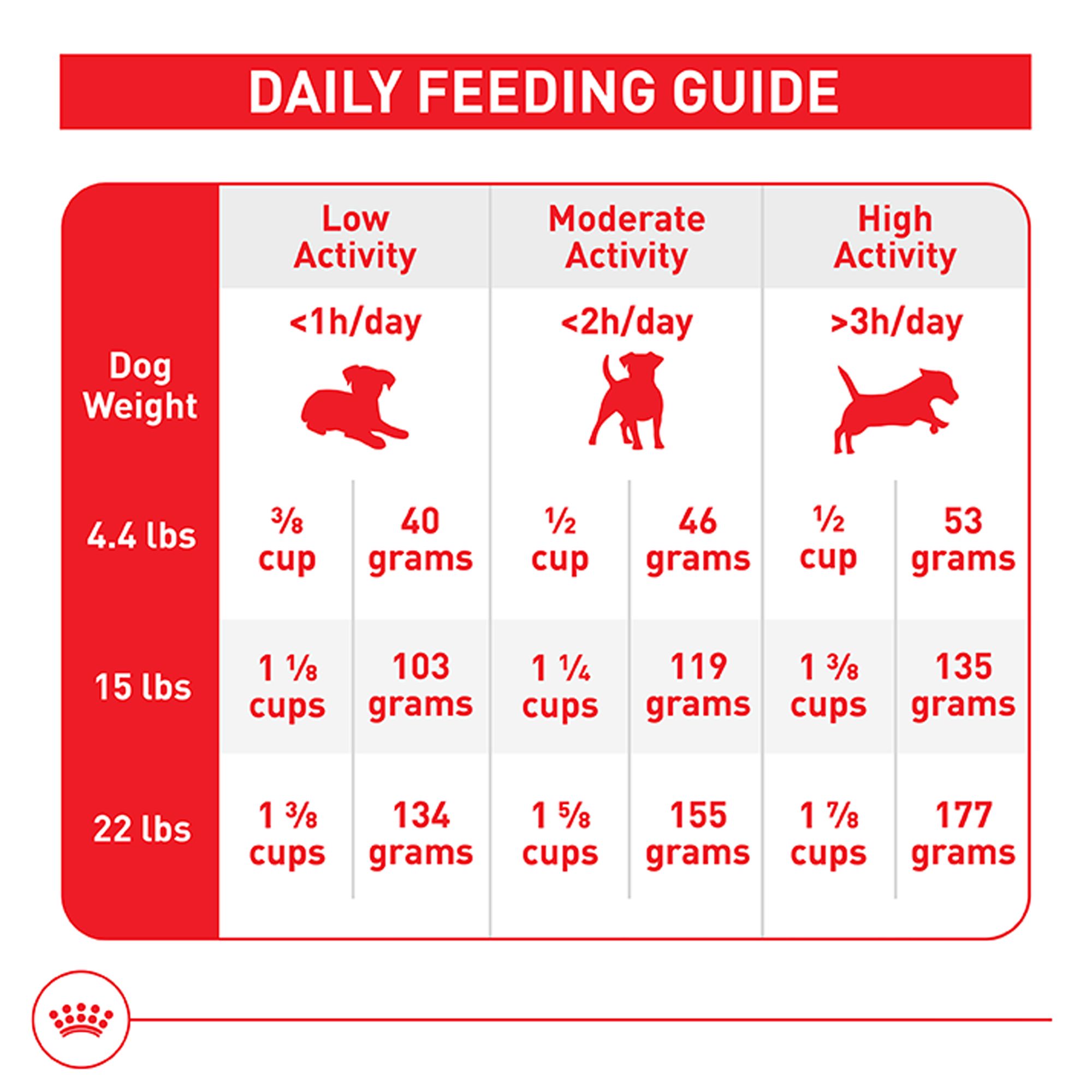 How Many Cups of Food Should an Adult Dog Eat: Expert Feeding Guide