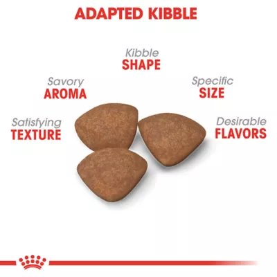 Product Royal Canin Size Health Nutrition Small Breed Puppy Dry Dog Food