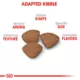 Product Royal Canin Size Health Nutrition Small Breed Puppy Dry Dog Food