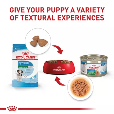 Product Royal Canin Size Health Nutrition Small Breed Puppy Dry Dog Food