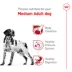 Royal Canin Size Health Nutrition Medium Breed Adult Dry Dog Food image thumbnail 3