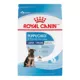 Product Royal Canin Size Health Nutrition Large Breed Puppy Dry Dog Food