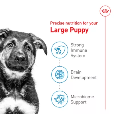 Product Royal Canin Size Health Nutrition Large Breed Puppy Dry Dog Food