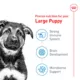 Product Royal Canin Size Health Nutrition Large Breed Puppy Dry Dog Food