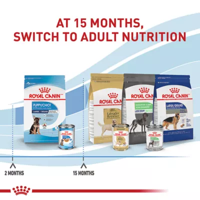Product Royal Canin Size Health Nutrition Large Breed Puppy Dry Dog Food