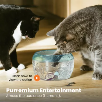 Product Catstages Meow-smerizing Fish Bowl with Electronic Fish for Bait, Cat Toy