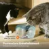 Catstages Meow-smerizing Fish Bowl with Electronic Fish for Bait, Cat Toy image thumbnail 6