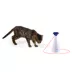 Whisker City® Automatic Rotating Laser Pointer image thumbnail 3